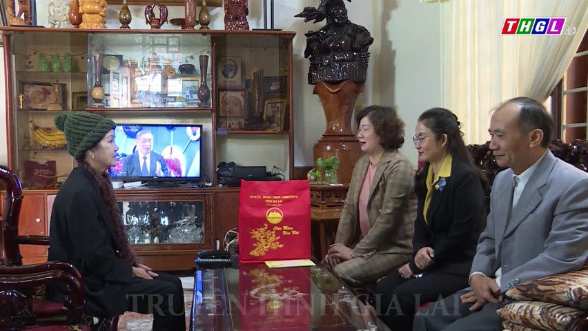 Đồng chí Trưởng Ban Dân vận Tỉnh ủy Phạm Thị Tố Hải đi thăm, tặng quà Tết Nguyên đán 2024