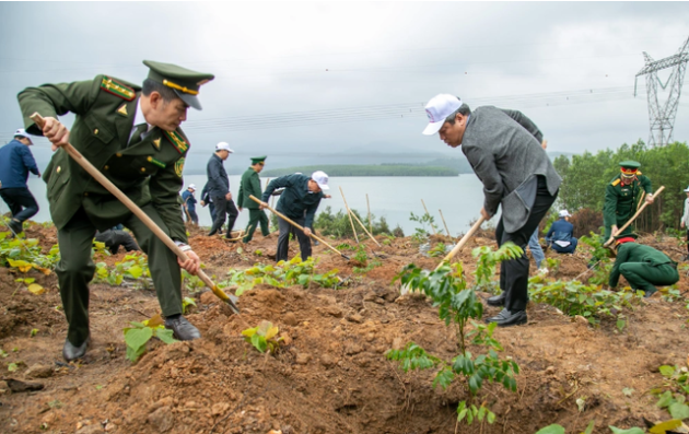 Thủ tướng chỉ thị tổ chức Tết trồng cây, tăng cường quản lý, bảo vệ, phát triển rừng