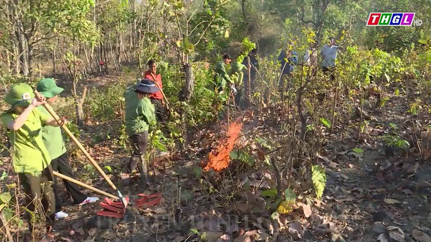 Chư Sê triển khai các giải pháp phòng, chống cháy rừng cao điểm mùa khô
