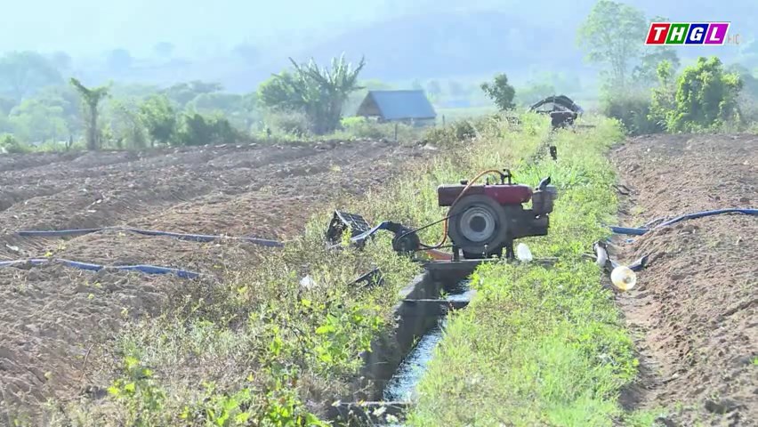 Chủ động đảm bảo nguồn nước cho sản xuất, chăn nuôi trong mùa khô hạn