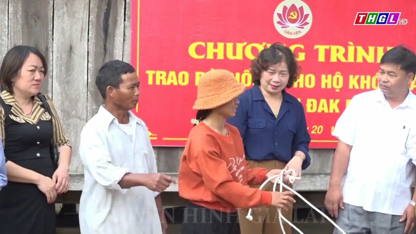 Trưởng Ban Dân vận Tỉnh ủy Phạm Thị Tố Hải tặng bò cho hộ nghèo tại huyện Đak Pơ