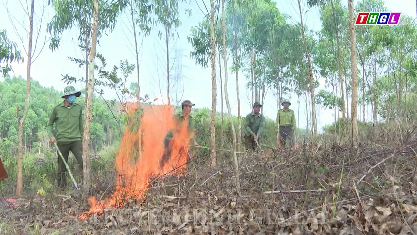 Đak Pơ tăng cường công tác phòng cháy, chữa cháy rừng