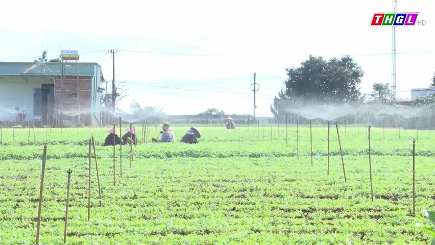 Nông dân TP Pleiku tăng cường các biện pháp phòng chống hạn cho cây trồng