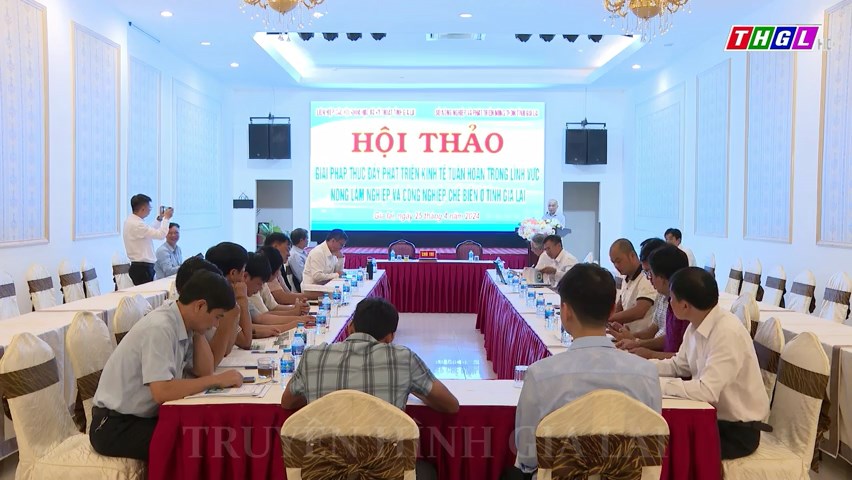 Hội thảo “Giải pháp thúc đẩy phát triển Kinh tế tuần hoàn trong lĩnh vực nông lâm nghiệp và công nghiệp chế biến ở tỉnh Gia Lai”