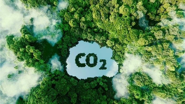 Thu 51,5 triệu USD từ bán tín chỉ carbon: Cơ hội lớn chuyển đổi sản xuất xanh