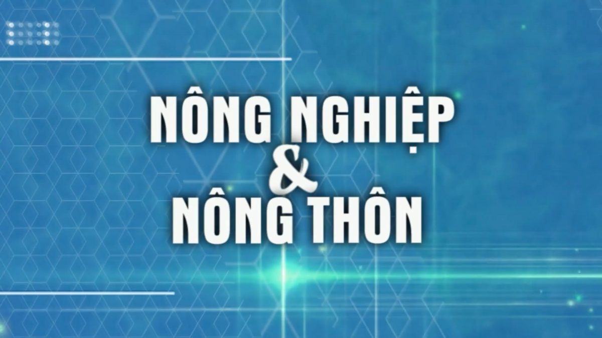 Nông nghiệp và nông thôn 26-09-2025