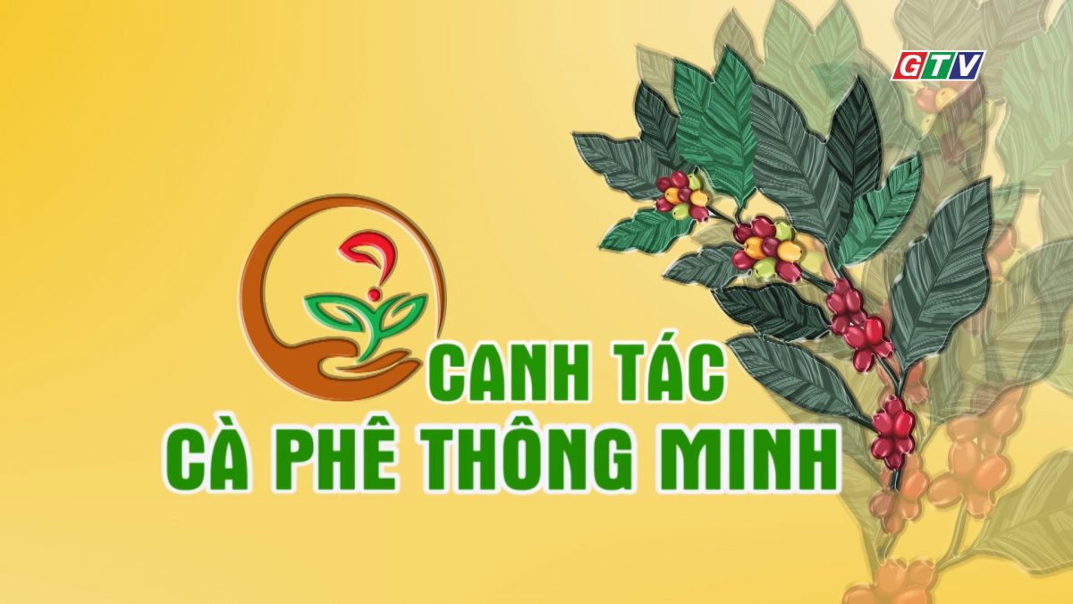Canh tác cà phê thông minh 23-09-2025